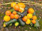 Pompoenen (4->10 Euro) en kalebassen om uit te hollen, Tuin en Terras, Overige Tuin en Terras, Ophalen, Zo goed als nieuw
