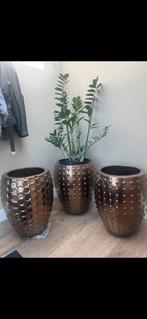 Honey pot bronze maat m, Ophalen, Rond, Binnen, Zo goed als nieuw