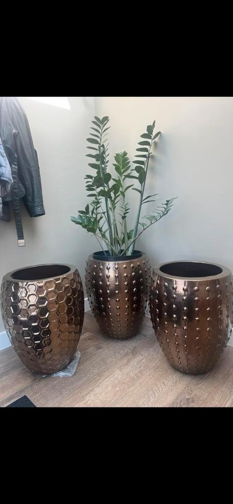 Honey pot bronze maat m, Tuin en Terras, Bloempotten, Zo goed als nieuw, Binnen, Minder dan 25 cm, Rond, Ophalen