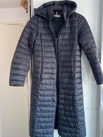 Tommy Hilfiger gewatteerde jas - Maat S, Ophalen of Verzenden, Zo goed als nieuw, Maat 36 (S), Zwart