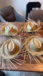 Loogroep hoed stro, Ophalen of Verzenden, Zo goed als nieuw, Carnaval