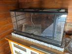 Terrarium/ paladarium compleet., Ophalen, Gebruikt, Terrarium of Paludarium