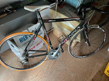 Sensa Umbria 58 cm beschikbaar voor biedingen