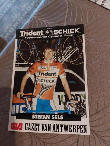 Wielerkaart : Stefan Sels / Trident Schick 1994 beschikbaar voor biedingen