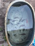 Vijvervissen, Dieren en Toebehoren, Vissen | Vijvervissen, Goudvis(sen)