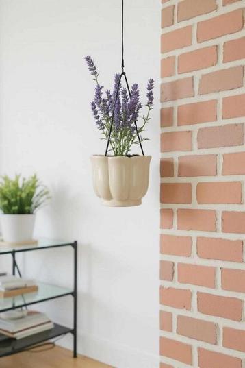 Boho Chic: Hangende plantenpot als statement g77611 beschikbaar voor biedingen
