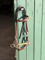 Bitloos hoofdstel, Dieren en Toebehoren, Ophalen of Verzenden, Zo goed als nieuw, Dressuur