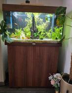 Juwel 125 liter aquarium met onderkast, Ophalen of Verzenden