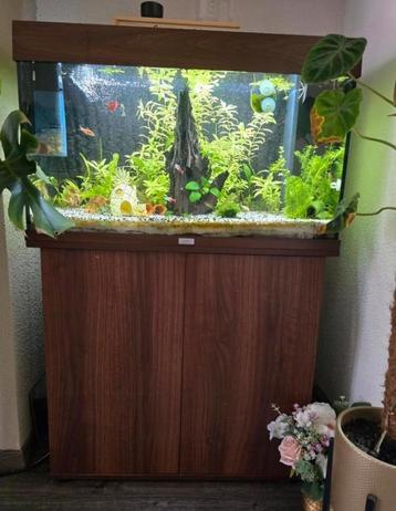 Juwel 125 liter aquarium met onderkast  beschikbaar voor biedingen