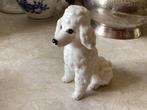 Poedel bone China // hoog 8 cm, Verzamelen, Ophalen of Verzenden, Zo goed als nieuw, Dier