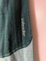 icebreaker 200 realfleece descender maat M heren, Verzenden, Maat 48/50 (M), Icebreaker, Nieuw