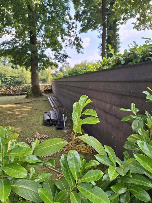 Schutting damwand 23 meter lang, Tuin en Terras, Schuttingen, Zo goed als nieuw, 1 tot 2 meter, 6 meter of meer, Ophalen
