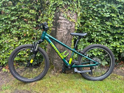 Cannondale trail 20 inch kinder mountainbike, Fietsen en Brommers, Fietsen | Mountainbikes en ATB, Ophalen of Verzenden