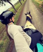 Stal hulp aangeboden, Dieren en Toebehoren, Stalling en Weidegang, Weidegang, 2 of 3 paarden of pony's