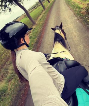 Stal hulp aangeboden beschikbaar voor biedingen