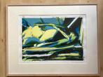 Zeefdruk, Wim Kuunen, abstract, gesigneerd , vintage, Antiek en Kunst, Kunst | Litho's en Zeefdrukken, Ophalen