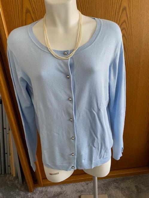 Marella, onderdeel van Max Mara, nieuw maat 44., Kleding | Dames, Truien en Vesten, Zo goed als nieuw, Maat 42/44 (L), Blauw, Ophalen of Verzenden