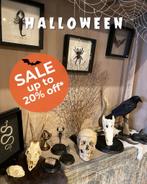 Halloween Sales tot 20% korting op o.a. opgezette dieren, Ophalen of Verzenden, Nieuw, Overige soorten, Opgezet dier