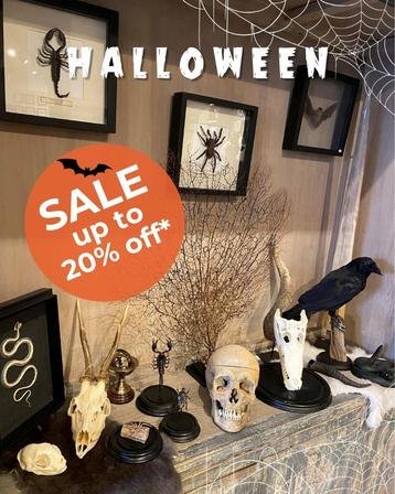 Halloween Sales tot 20% korting op o.a. opgezette dieren beschikbaar voor biedingen