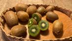 Biologische Kiwi’s, Ophalen