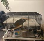 Ferplast hamsterhok, Dieren en Toebehoren, Knaagdieren en Konijnen | Hokken en Kooien, Minder dan 75 cm, Zo goed als nieuw, Hok