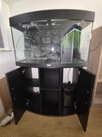 Juwel vision Aquarium 180 liter compleet, Dieren en Toebehoren, Vissen | Aquaria en Toebehoren, Ophalen, Gebruikt, Leeg aquarium