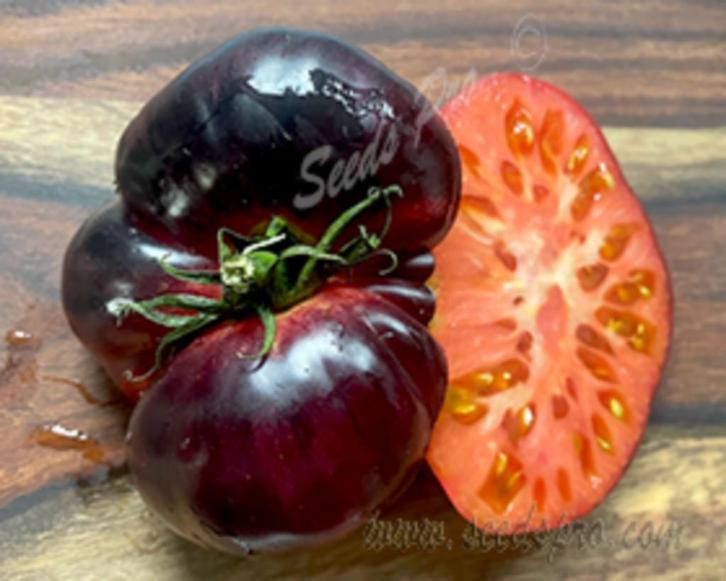 Tomaat Asurcado Antociano, Tuin en Terras, Bloembollen en Zaden, Zaad, Voorjaar, Volle zon, Ophalen of Verzenden