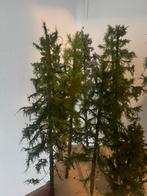 H0 modelspoor bomen., Ophalen of Verzenden, Gelijkstroom of Wisselstroom