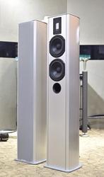 Piega Premium 5.2 speakers, Gebruikt, 120 watt of meer, Front, Rear of Stereo speakers, Ophalen
