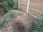 Gratis zandgrond, Tuin en Terras, Ophalen, Tuinaarde