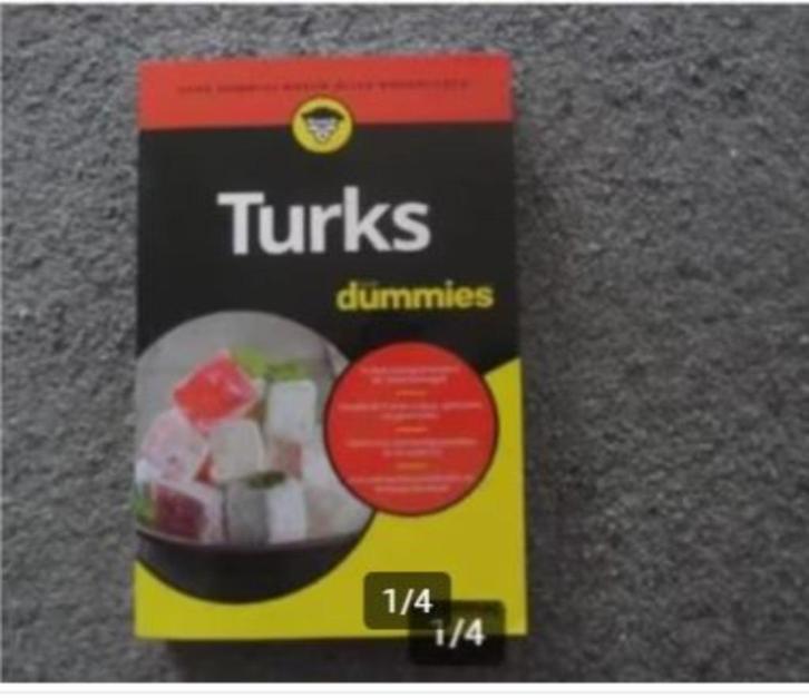 Turks voor dummies, Boeken, Studieboeken en Cursussen, Zo goed als nieuw, Alpha, Ophalen of Verzenden