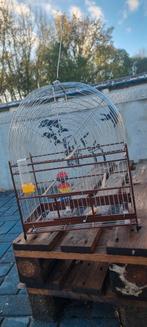 Surinaamse kooi pikolet, Dieren en Toebehoren, Vogels | Hokken en Kooien, Ophalen of Verzenden, Zo goed als nieuw, Metaal, Vogelkooi