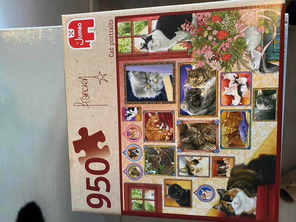 2 puzzels. Katten en De Nachtwacht, Ophalen of Verzenden, 500 t/m 1500 stukjes, Nieuw