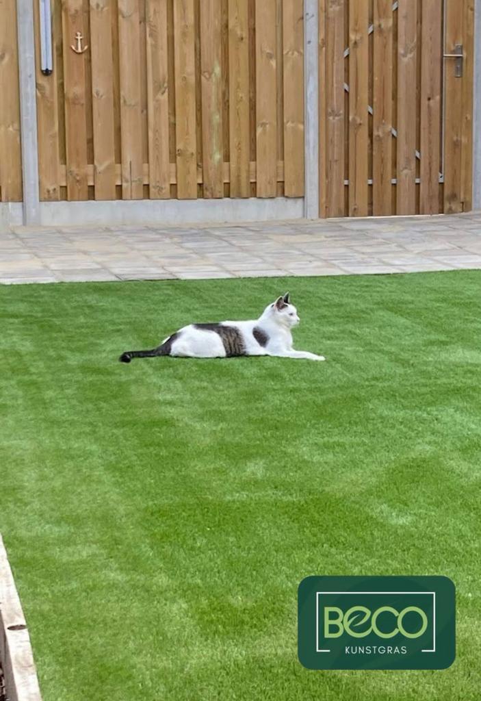 Kunstgras kind en diervriendelijke soorten, Tuin en Terras, Gras en Kunstgras, Nieuw, Kunstgras, 20 m² of meer, Ophalen