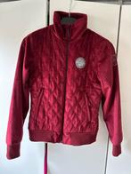 PK sports jas/ vest bordeaux rood xs, Dieren en Toebehoren, Paardrijkleding, Ophalen of Verzenden