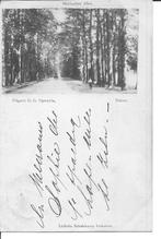 Dieren Middachter Allee.  1899, Verzamelen, Ophalen of Verzenden, Voor 1920, Gelopen, Gelderland