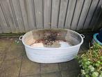 Grote ovalen zinken teil, Tuin en Terras, Bloembakken en Plantenbakken, Ophalen, Zo goed als nieuw, Metaal, 30 tot 60 cm