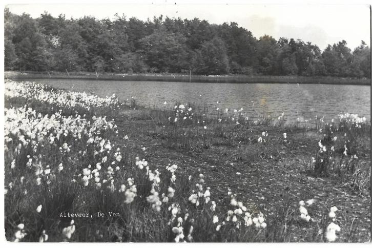 Alteveer, (bij Hoogeveen) De Ven. Opruimingskaart, Verzamelen, Ansichtkaarten | Nederland, Gelopen, Drenthe, 1960 tot 1980, Verzenden