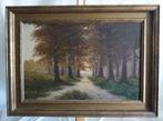 Oud schilderij - Bospad - Gesigneerd - 1940, Antiek en Kunst, Kunst | Schilderijen | Klassiek, Ophalen of Verzenden