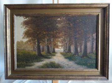 Oud schilderij - Bospad - Gesigneerd - 1940 beschikbaar voor biedingen