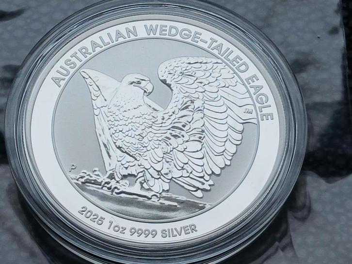 2025 Wedge Tailed Eagle 1 oz silver, Postzegels en Munten, Munten | Oceanië, Zilver, Ophalen of Verzenden