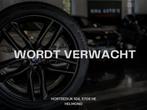 BMW 3-serie Touring 318i | AUT | CRUISE | TREKHAAK | ONDERHO, Automaat, Euro 5, Zwart, 3-Serie
