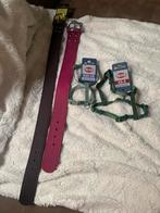 Tuigje hasband alles is nieuw. Alles in 1 koop 10 euro, Dieren en Toebehoren, Ophalen of Verzenden, Nieuw