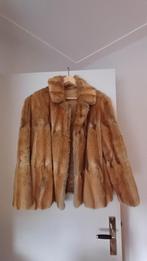 Bruine Bison bonten jas, Bruin, Onbekend, Gedragen, Ophalen