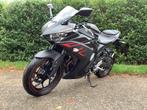 Yamaha YZF -R3 / 2018 / Geschikt voor A2 rijbewijs / Mooi !, 2 cilinders, 300 cc, ABS, Bedrijf