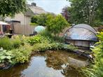 zwembad met kap, Tuin en Terras, 120 cm of meer, Gebruikt, 200 tot 300 cm, Rond