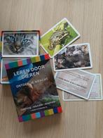Leren door Dieren Kaartspel - Afstudeerpresentatie, Ophalen of Verzenden