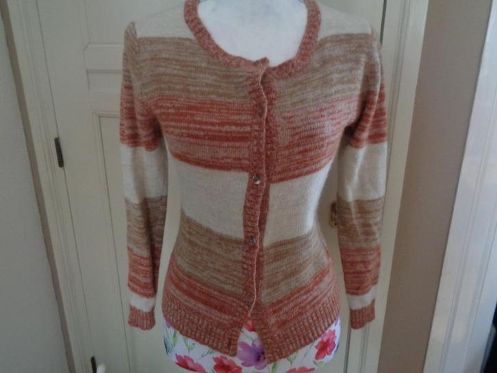 SAMSOE SAMSOE wollen vestje:mt 38, Kleding | Dames, Truien en Vesten, Zo goed als nieuw, Maat 38/40 (M), Bruin, Ophalen of Verzenden