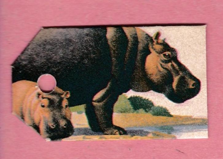 9625) nijlpaarden labeltje, Verzamelen, Dierenverzamelingen, Zo goed als nieuw, Overige typen, Ophalen of Verzenden