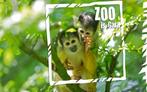 tickets dierentuin gaiazoo, Tickets en Kaartjes, Drie personen of meer, Ticket of Toegangskaart